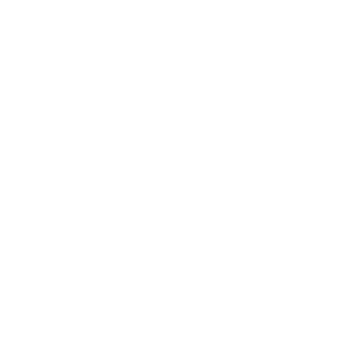 Les Loosers Magnifiques